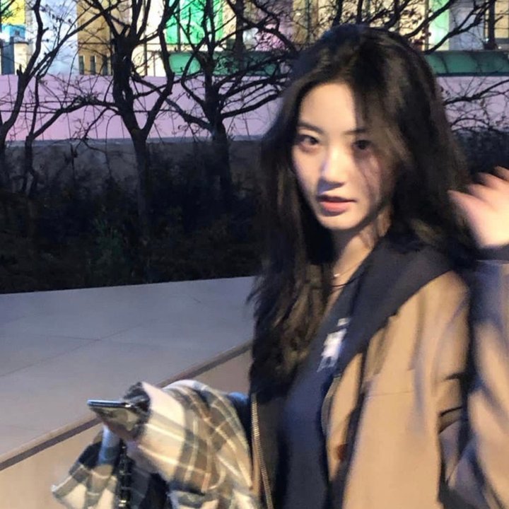 睡觉的笨蛋